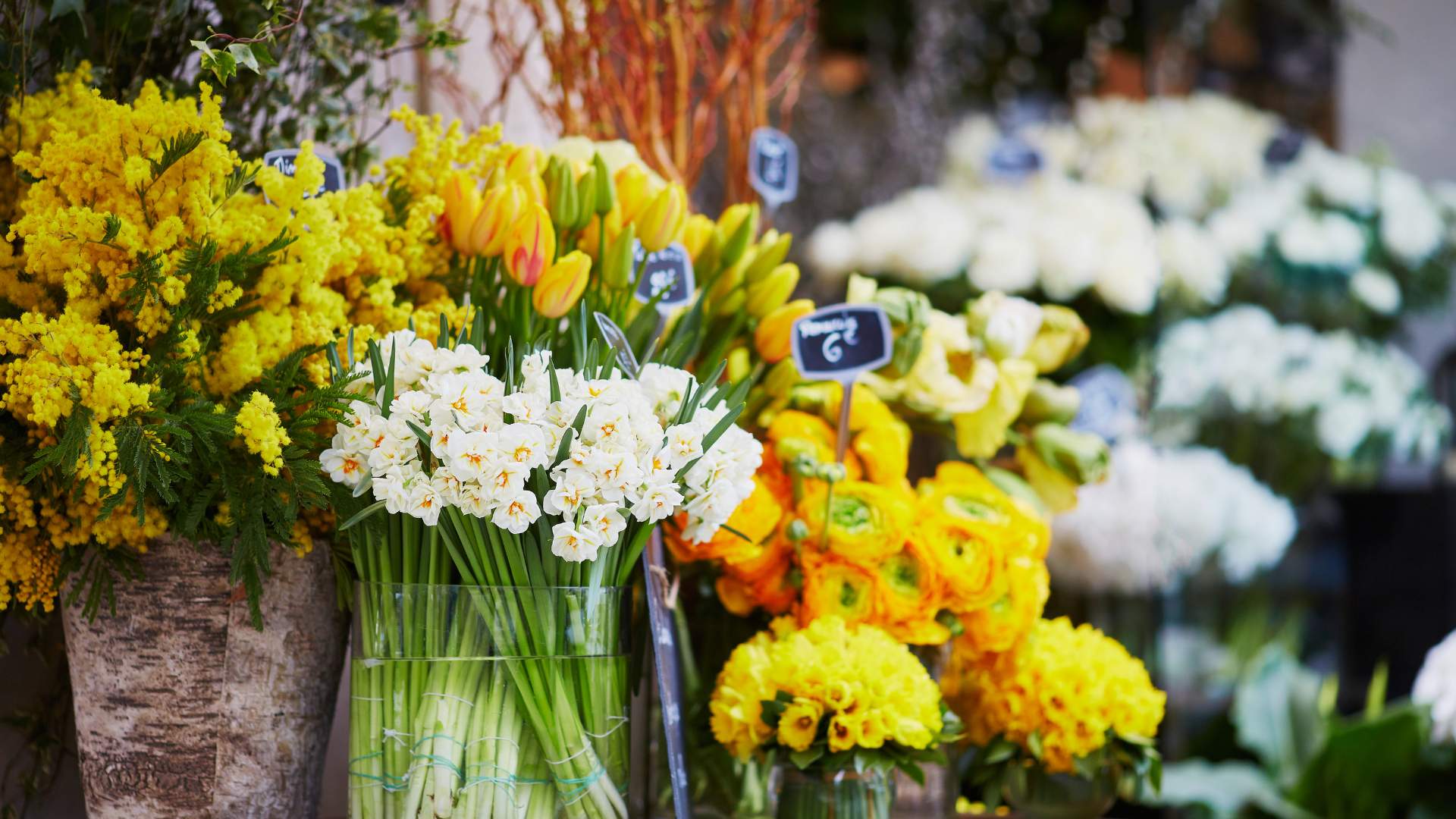 Boutique de fleurs à Paris