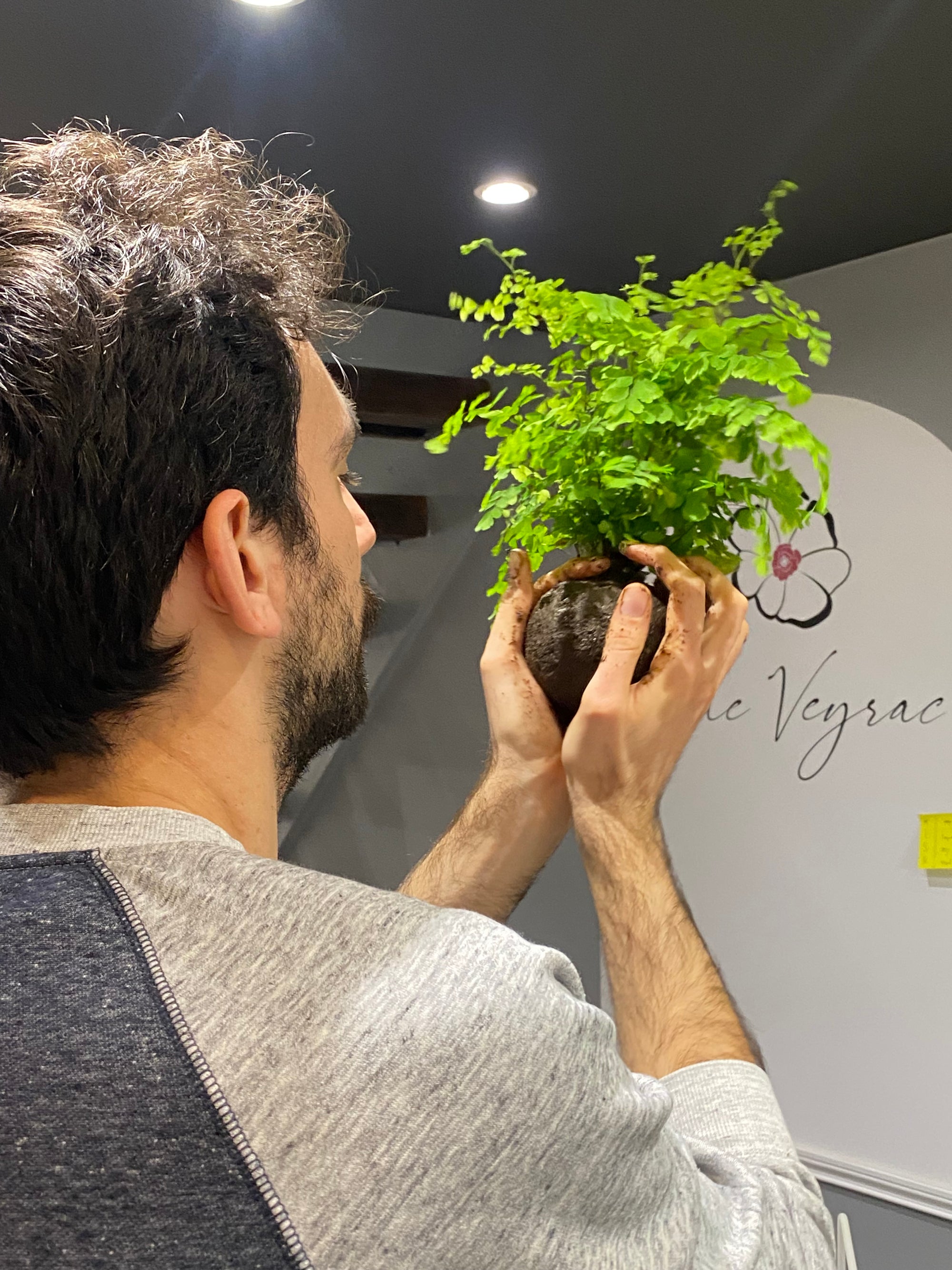 Découvrez l'art floral japonais chez IKI