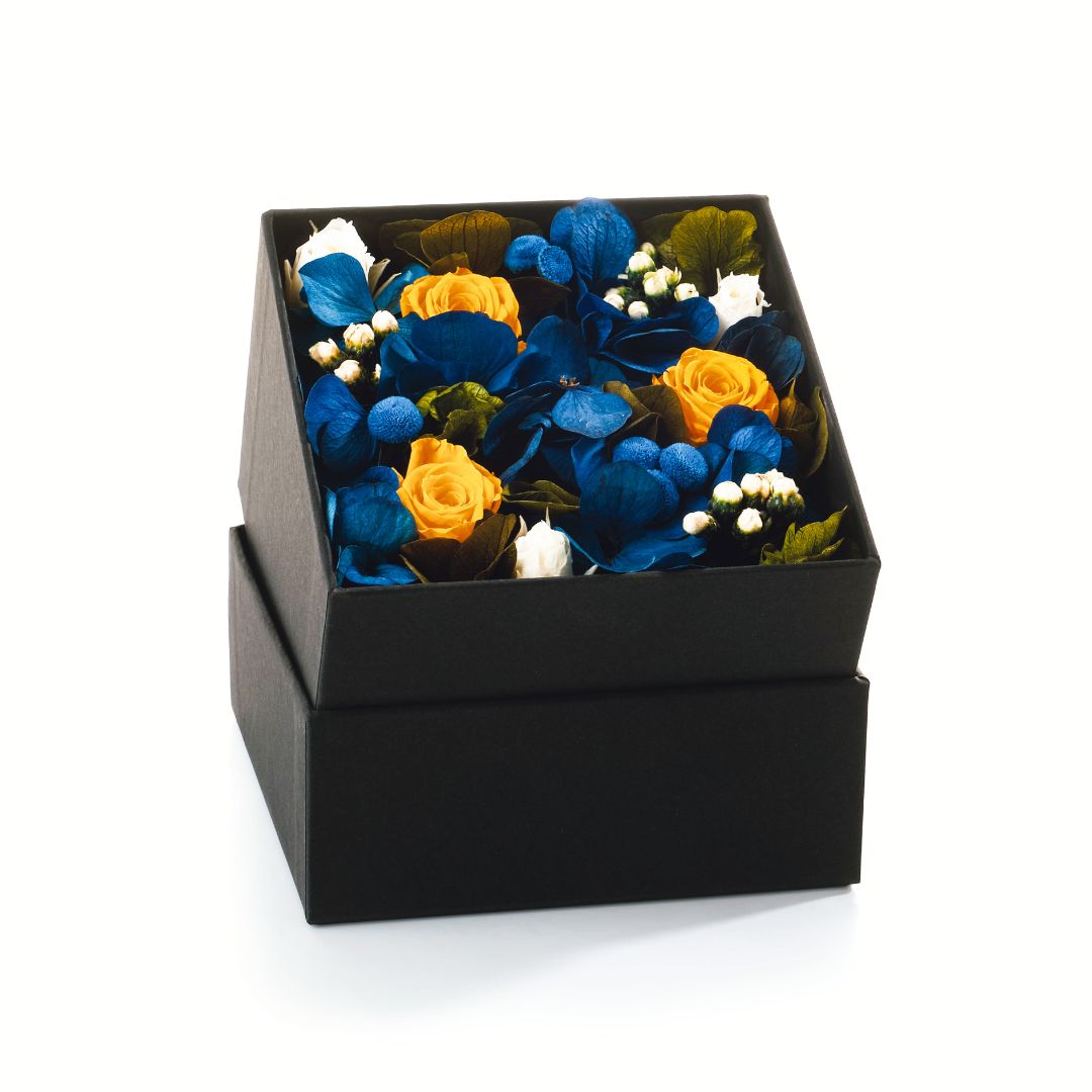 Flower box nuit étoilée