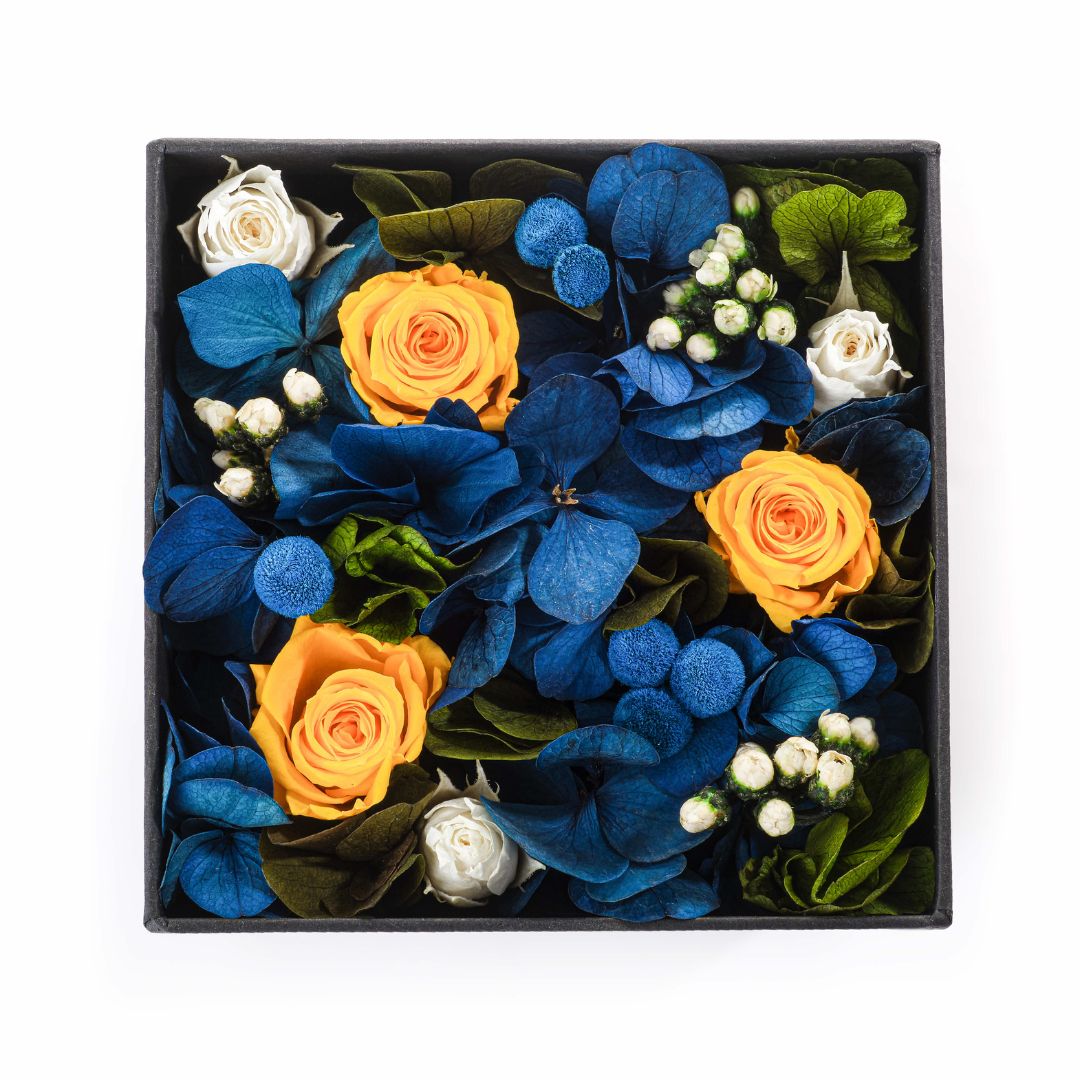 Flower box nuit étoilée