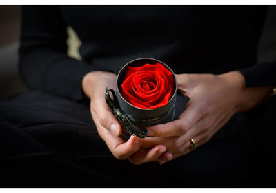 Offrez un symbole d'amour et de passion avec des roses stabilisées