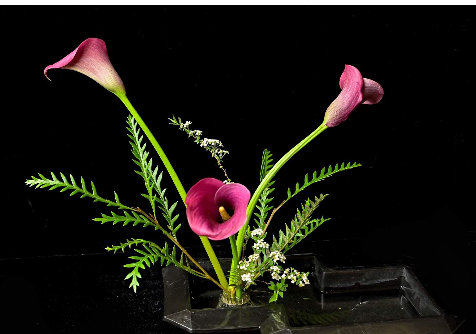 Art floral japonais : Un voyage initiatique à travers les fleurs