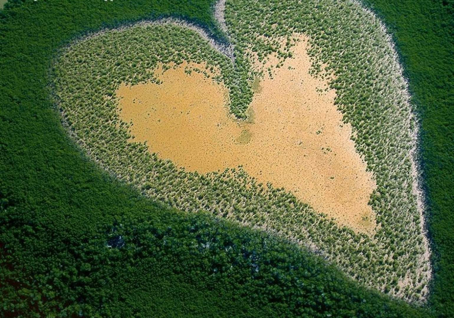 Surprenez vos proches à distance