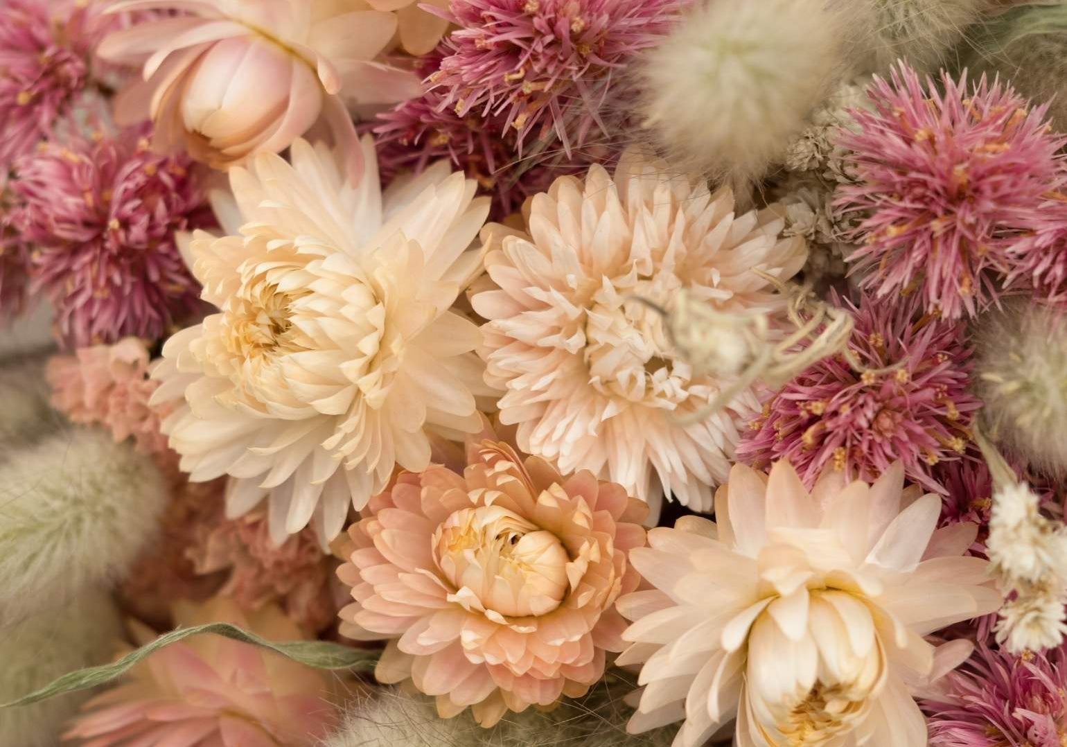 Une touche bohème et éternelle dans votre intérieur