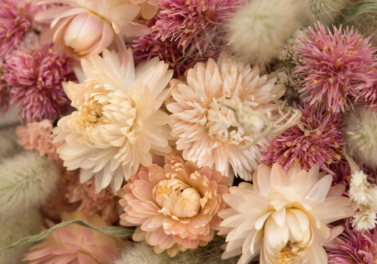 Une touche bohème et éternelle dans votre intérieur