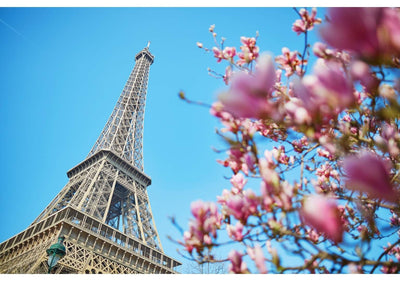 Livraison de fleurs à paris