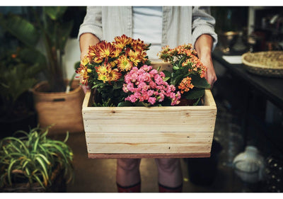 Un bouquet de bonheur chaque mois