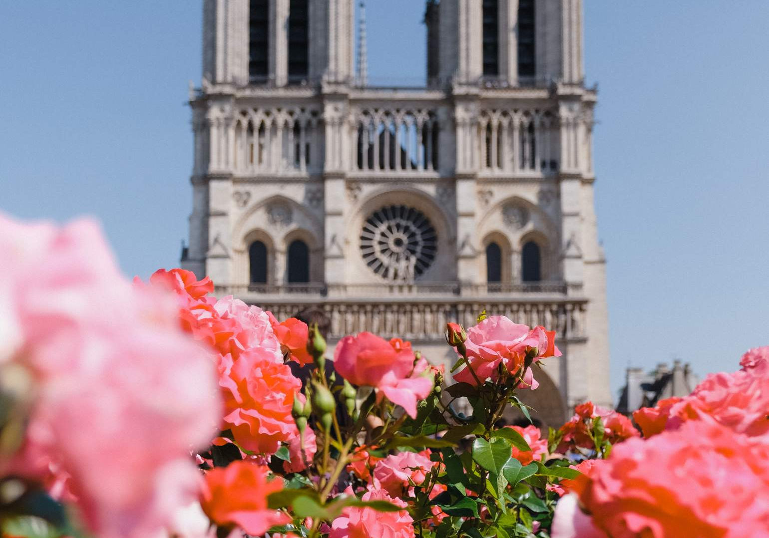 Faire livrer des fleurs à Paris