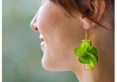 Fleur stabilisée, un cadeau original pour toutes les occasions