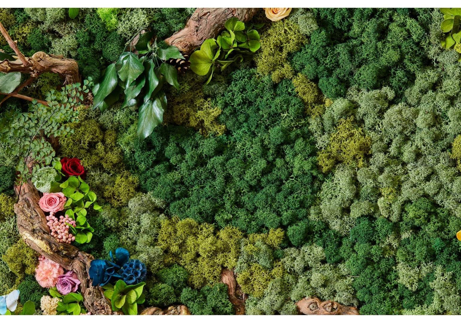 Apportez une touche de nature à votre intérieur avec des fleurs