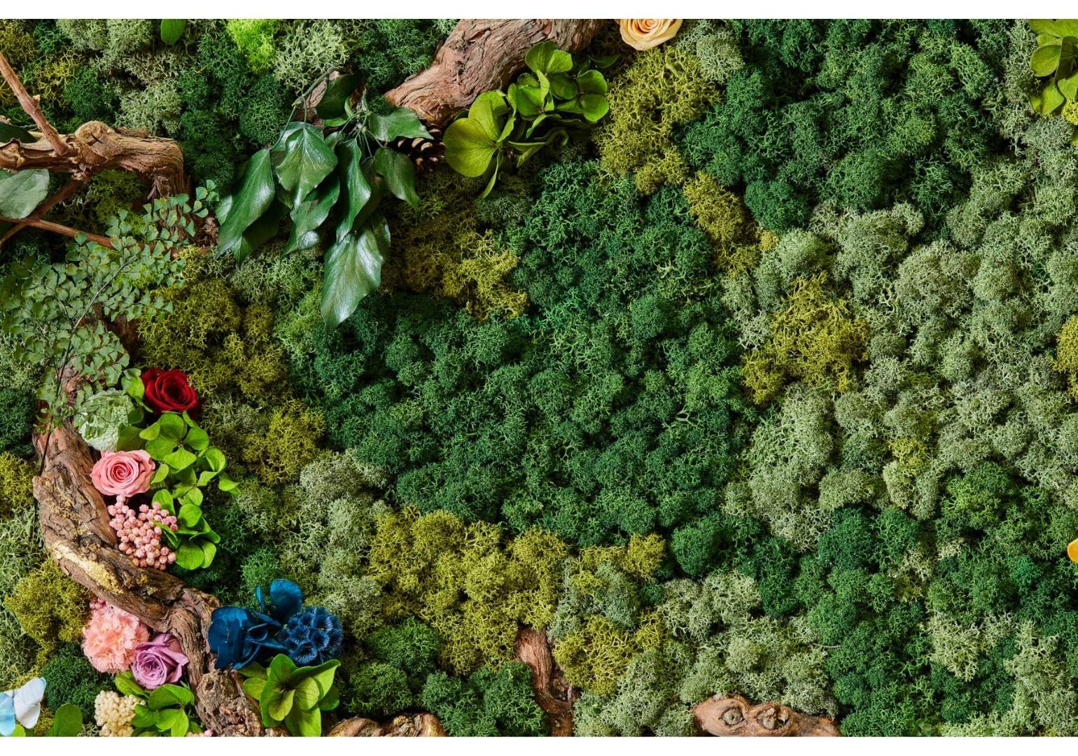 Apportez une touche de nature à votre intérieur avec des fleurs