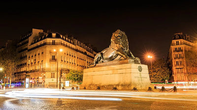 IKI vous livre à Paris 14ème