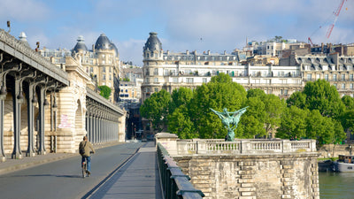 IKI vous livre à Paris 15ème