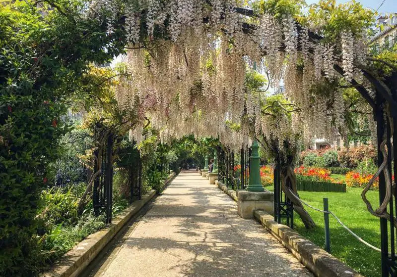 IKI vous livre à Paris 17ème