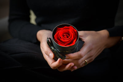 Les roses éternelles, le symbole parfait de l'amour et de la passion