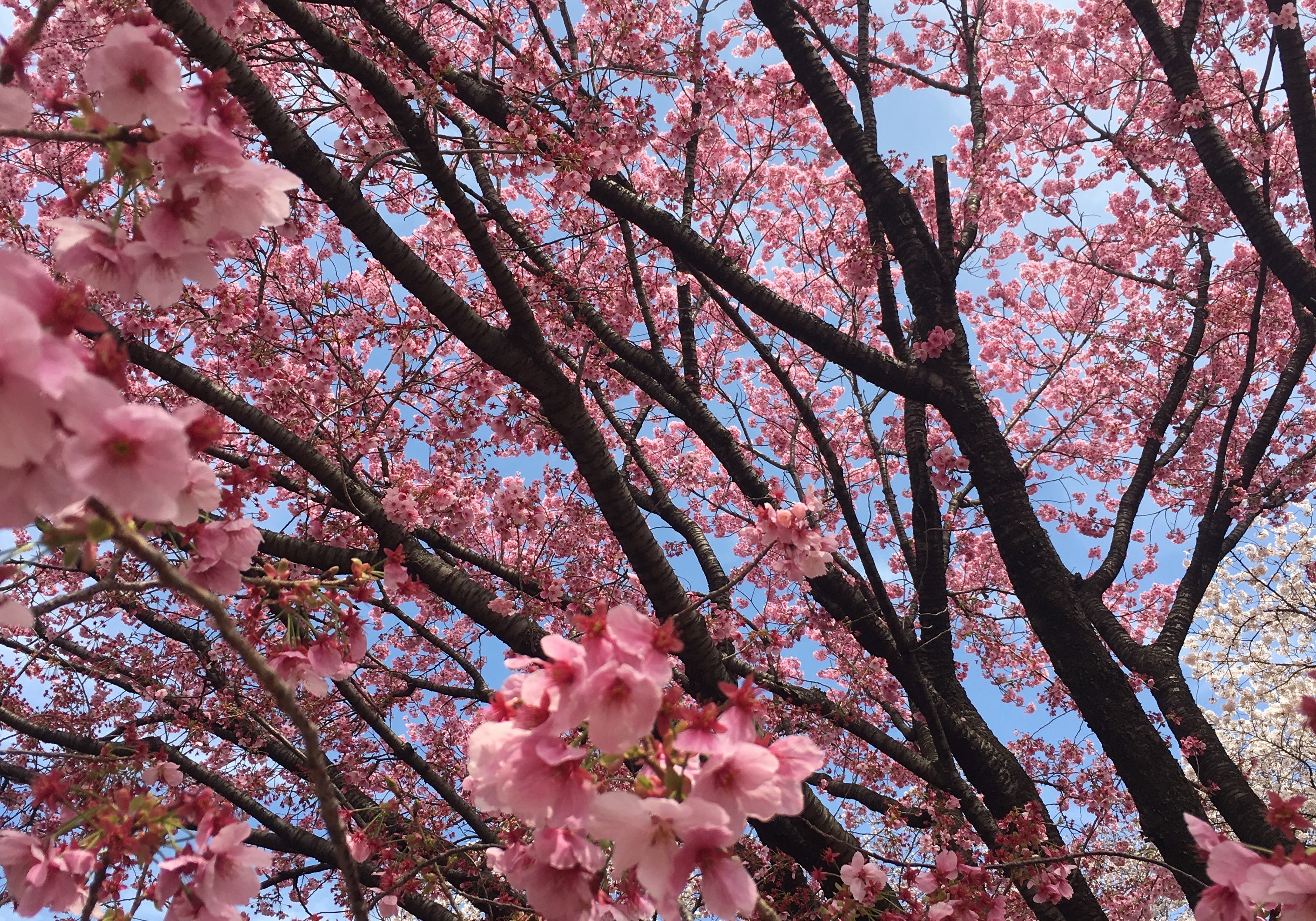 Newsletter de Janvier