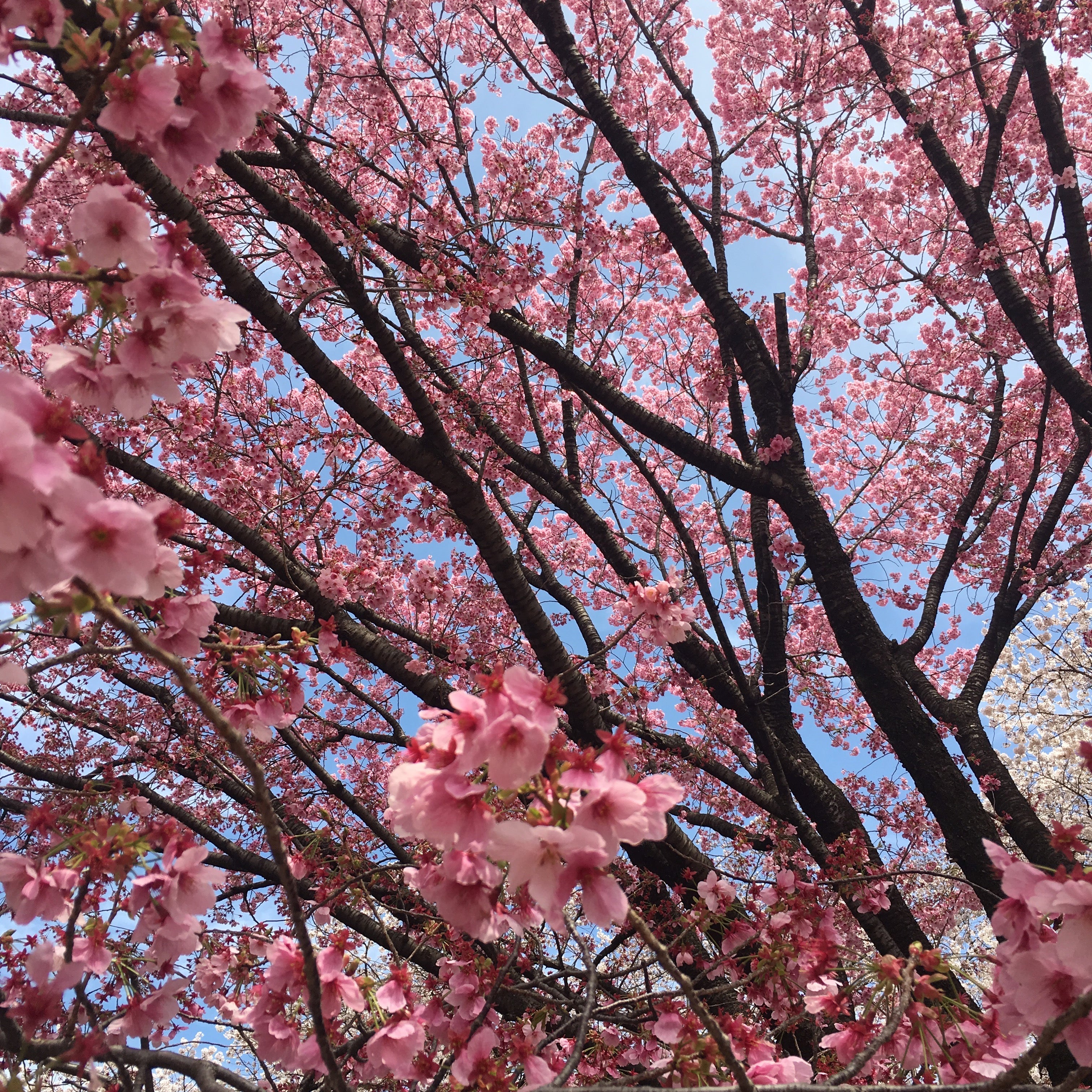 Newsletter de Janvier