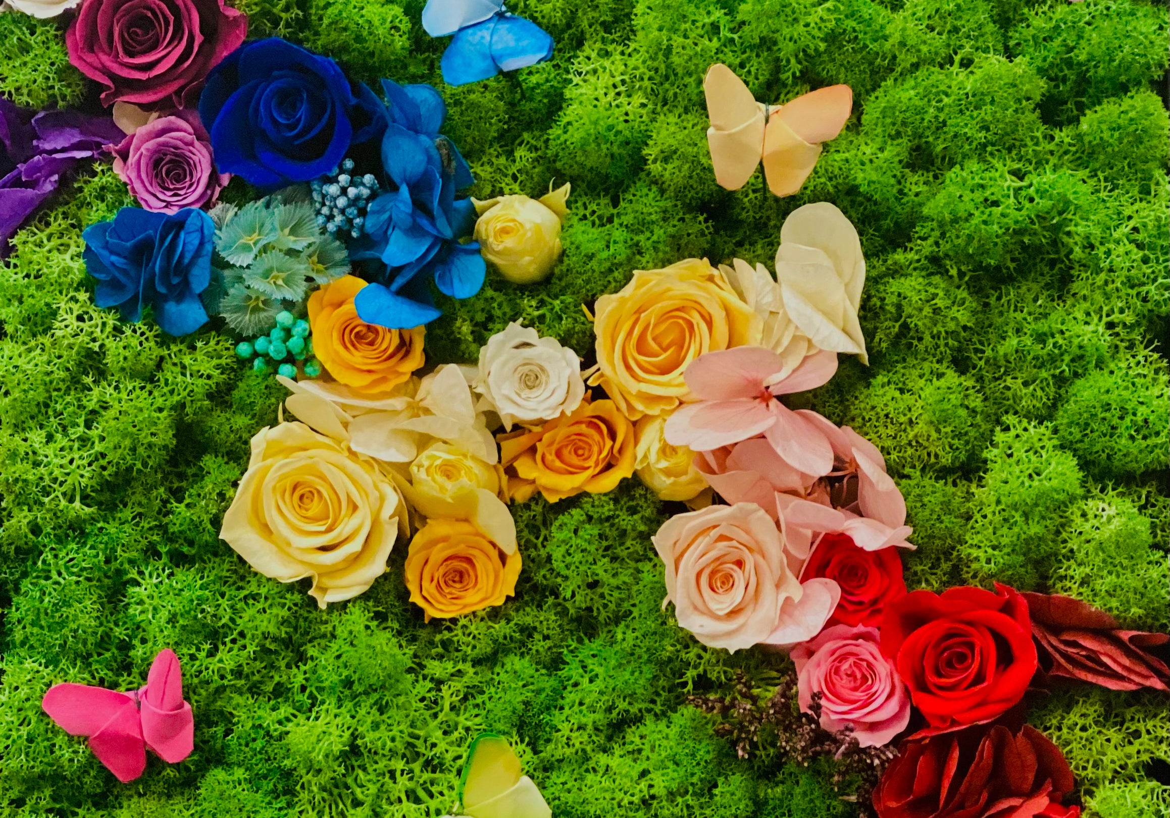 Tableaux végétaux Amazonie x C. Lacroix