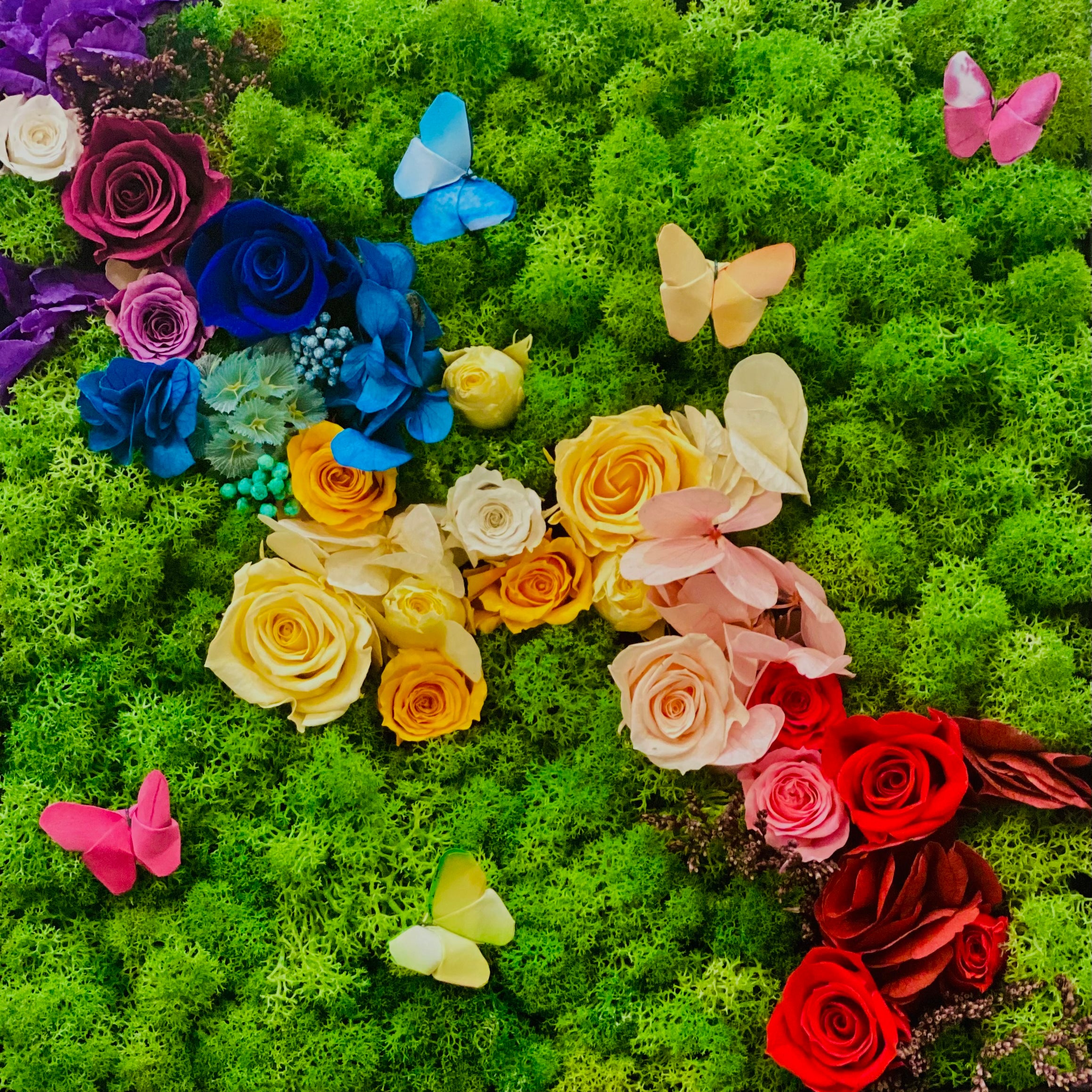 Tableaux végétaux Amazonie x C. Lacroix