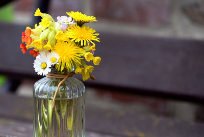 Comment entretenir un bouquet de fleurs coupées ?