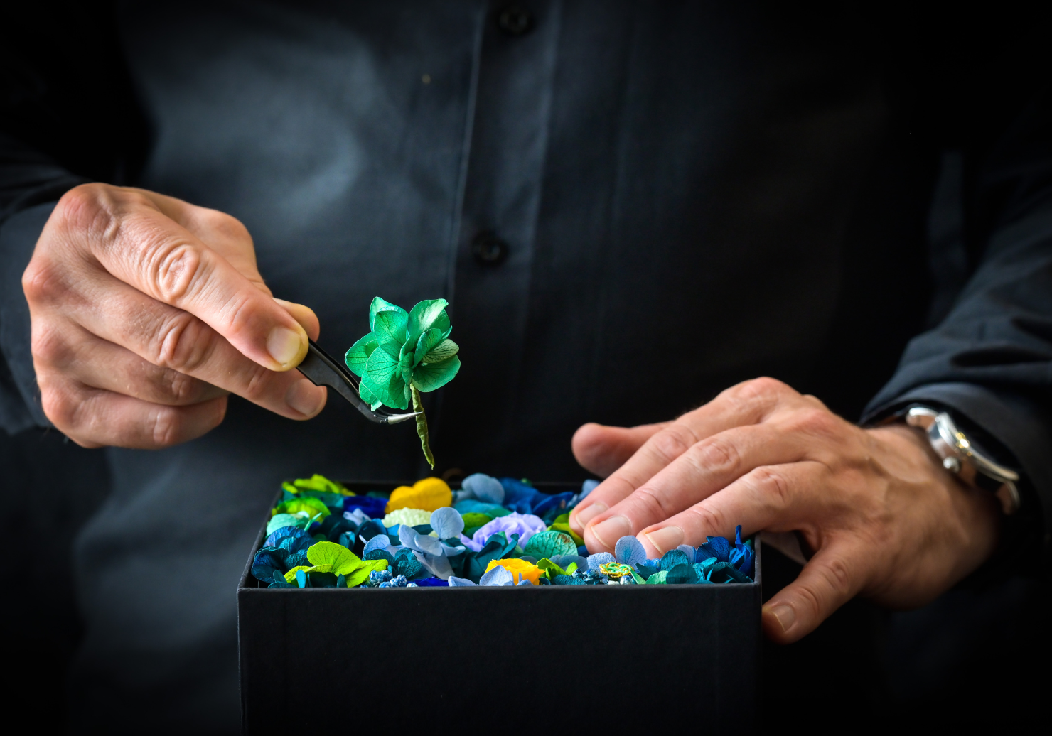 Trouvez le fleuriste idéal à Paris pour offrir une rose stabilisée