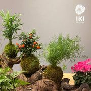 Carte cadeau Atelier Floral KOKEDAMA