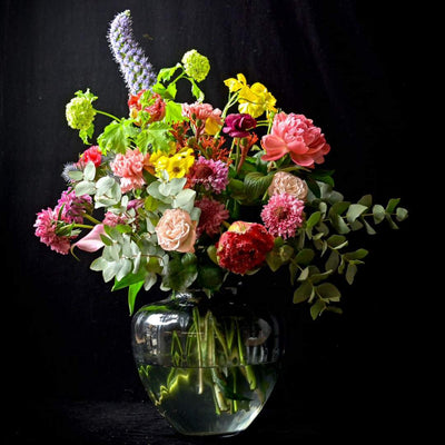 Arlequin - Bouquet Multicolore