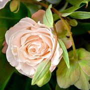 Hanami - Bouquet Rose Tendre