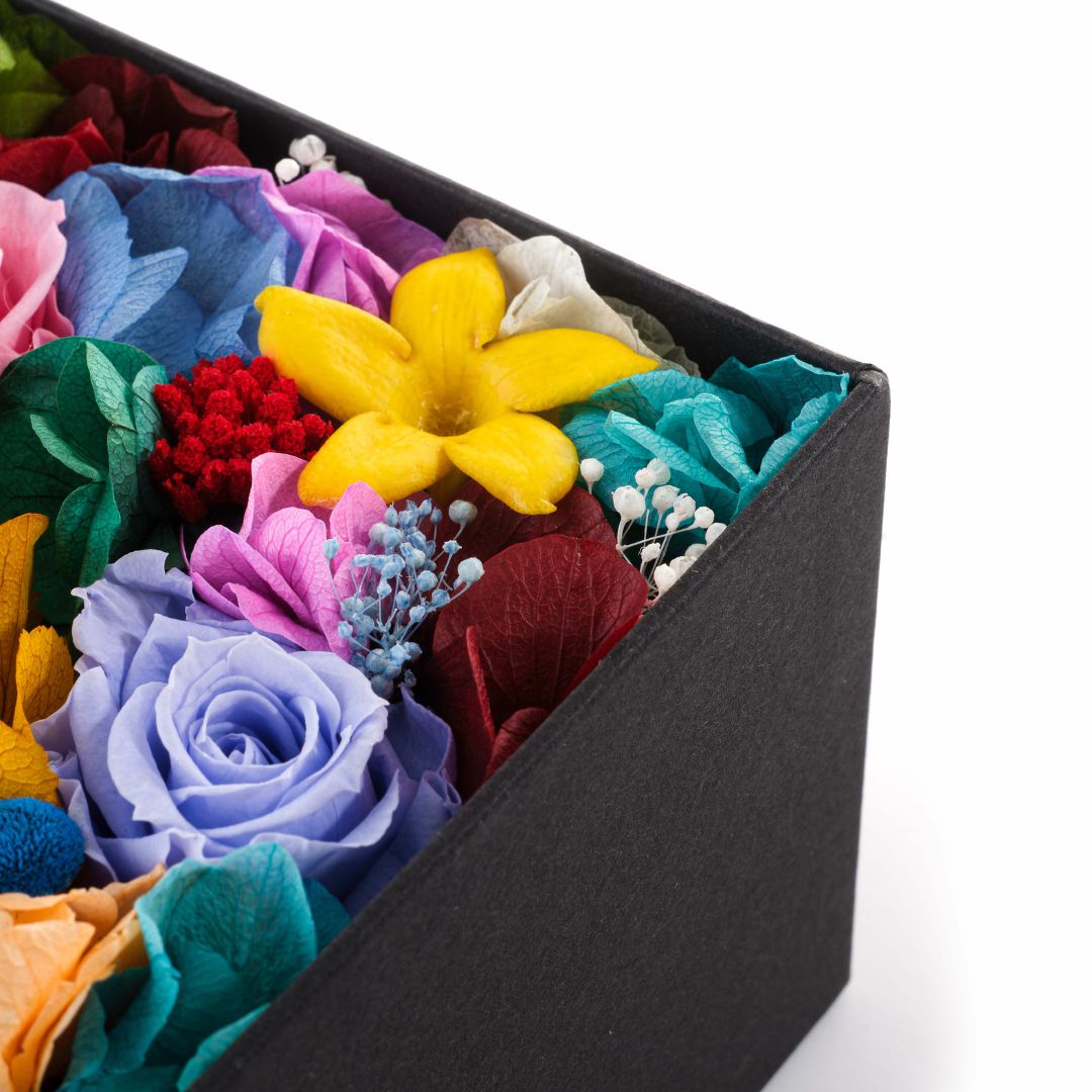 flower box multicolore